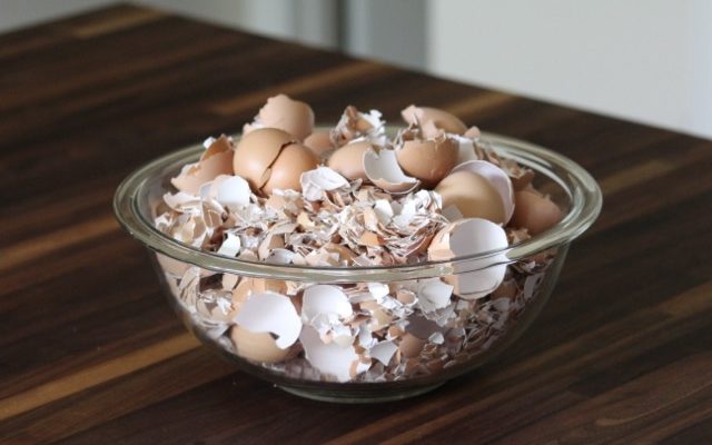 Nothing goes to waste!  Eggshells included…